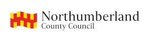 Home logo